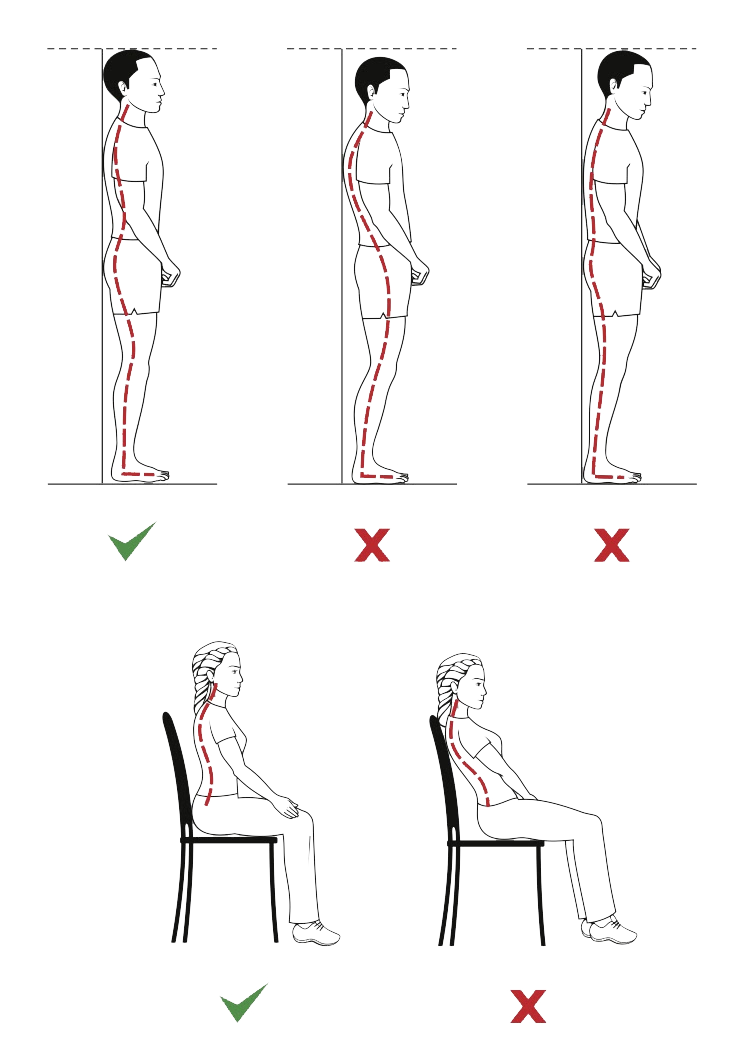 Illustration of posture and the Alexander Technique – bone deep strength